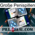 Große Penispillen viagra5